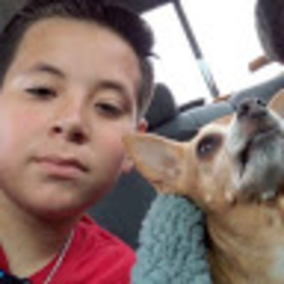 Meet your Posher, Rafael - Picture 1 of 1